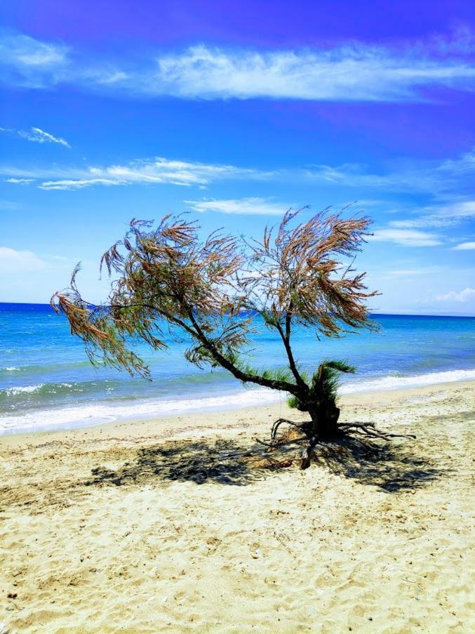 Seaside Family Apartment In Paralia Dionisiou Bagian luar foto