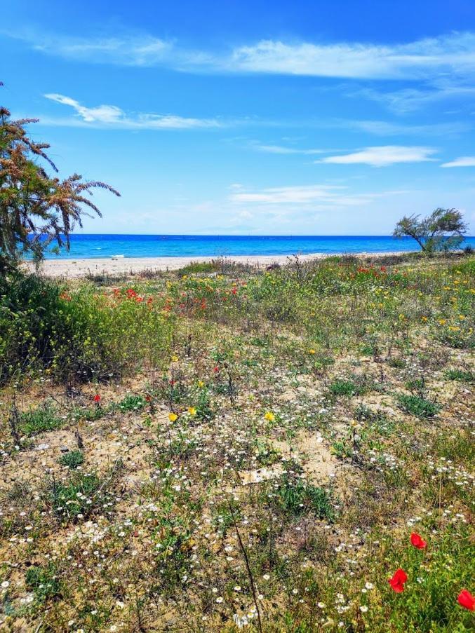 Seaside Family Apartment In Paralia Dionisiou Bagian luar foto