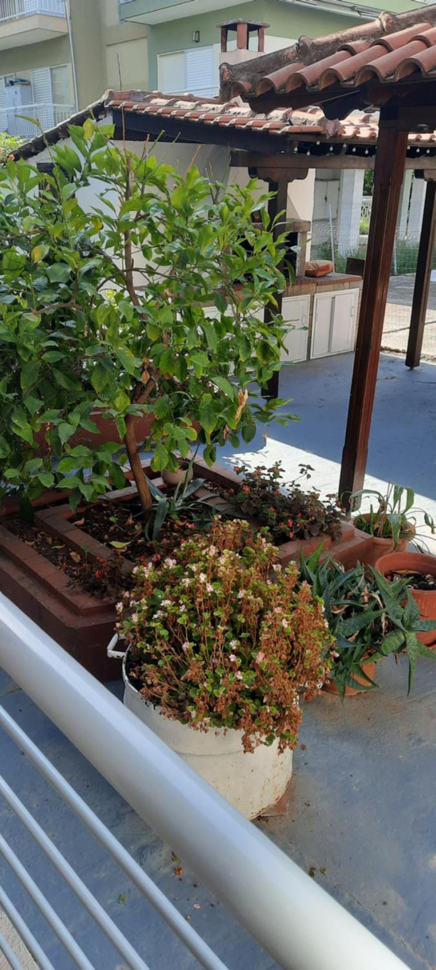 Seaside Family Apartment In Paralia Dionisiou Bagian luar foto