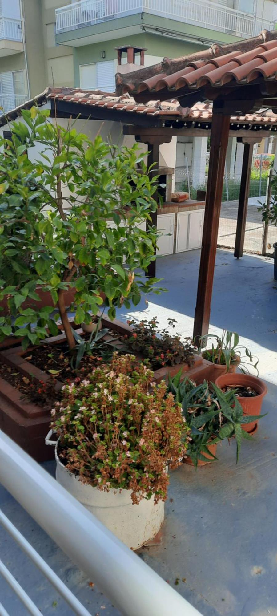 Seaside Family Apartment In Paralia Dionisiou Bagian luar foto